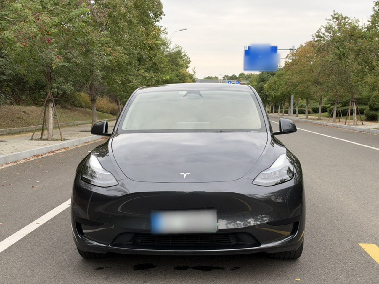 Model Y 2024 RWD photo 4