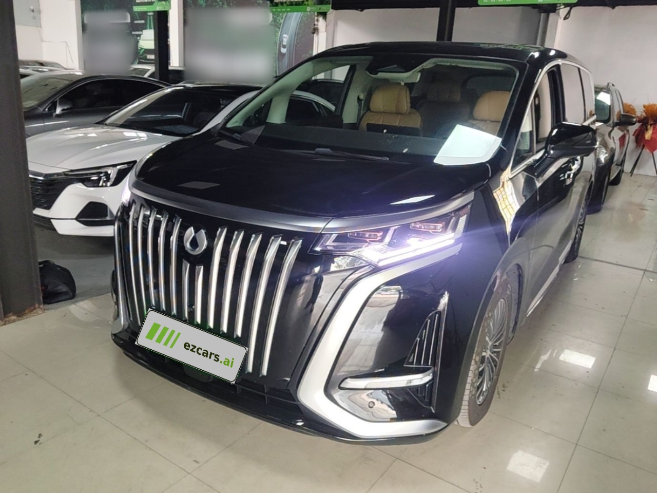 D9 2024 EV 600 AWD Premium