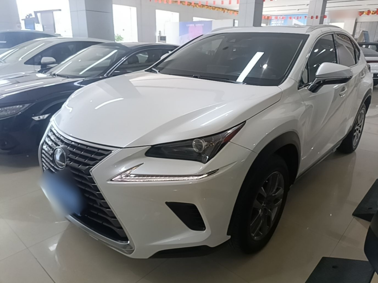 NX 2017 300