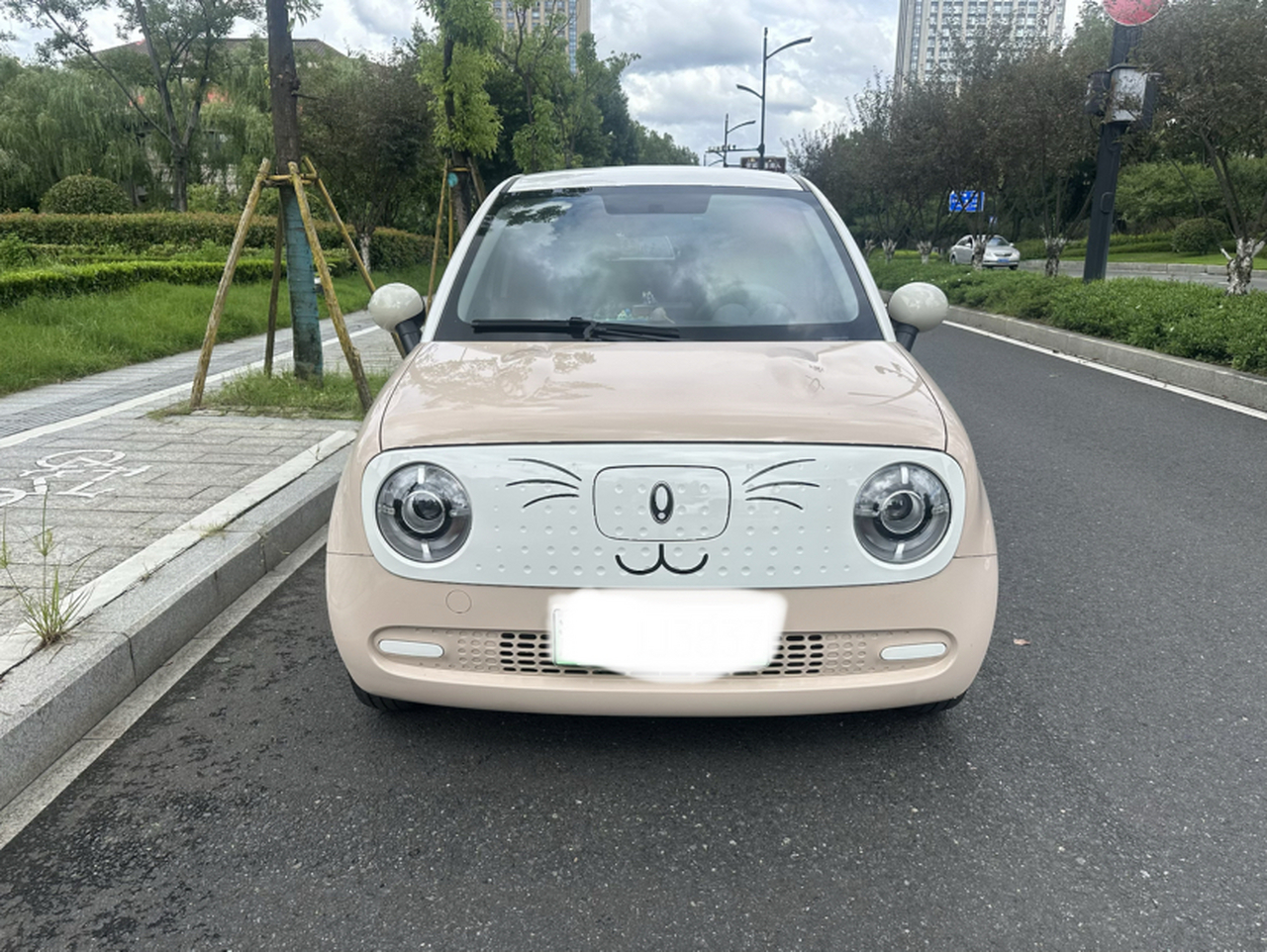 2022 301km LFP photo 4