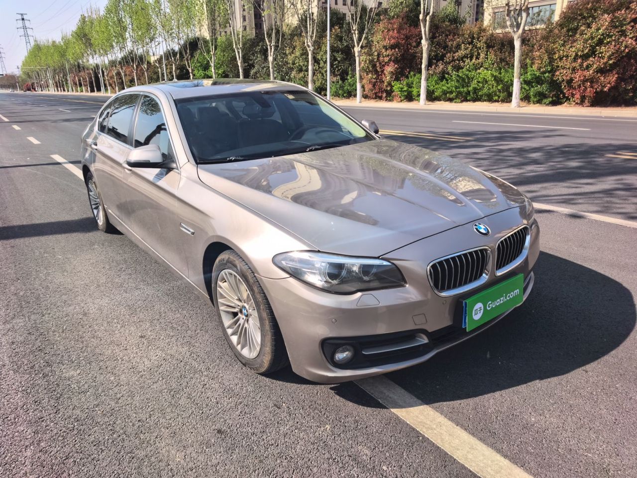 5 Series 2014 525Li Leading photo 3