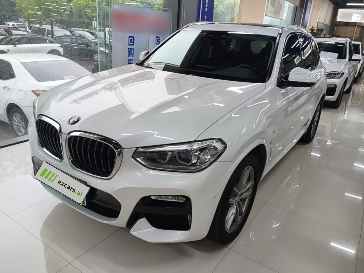 X3 2018 xDrive25i M Sport Package China V