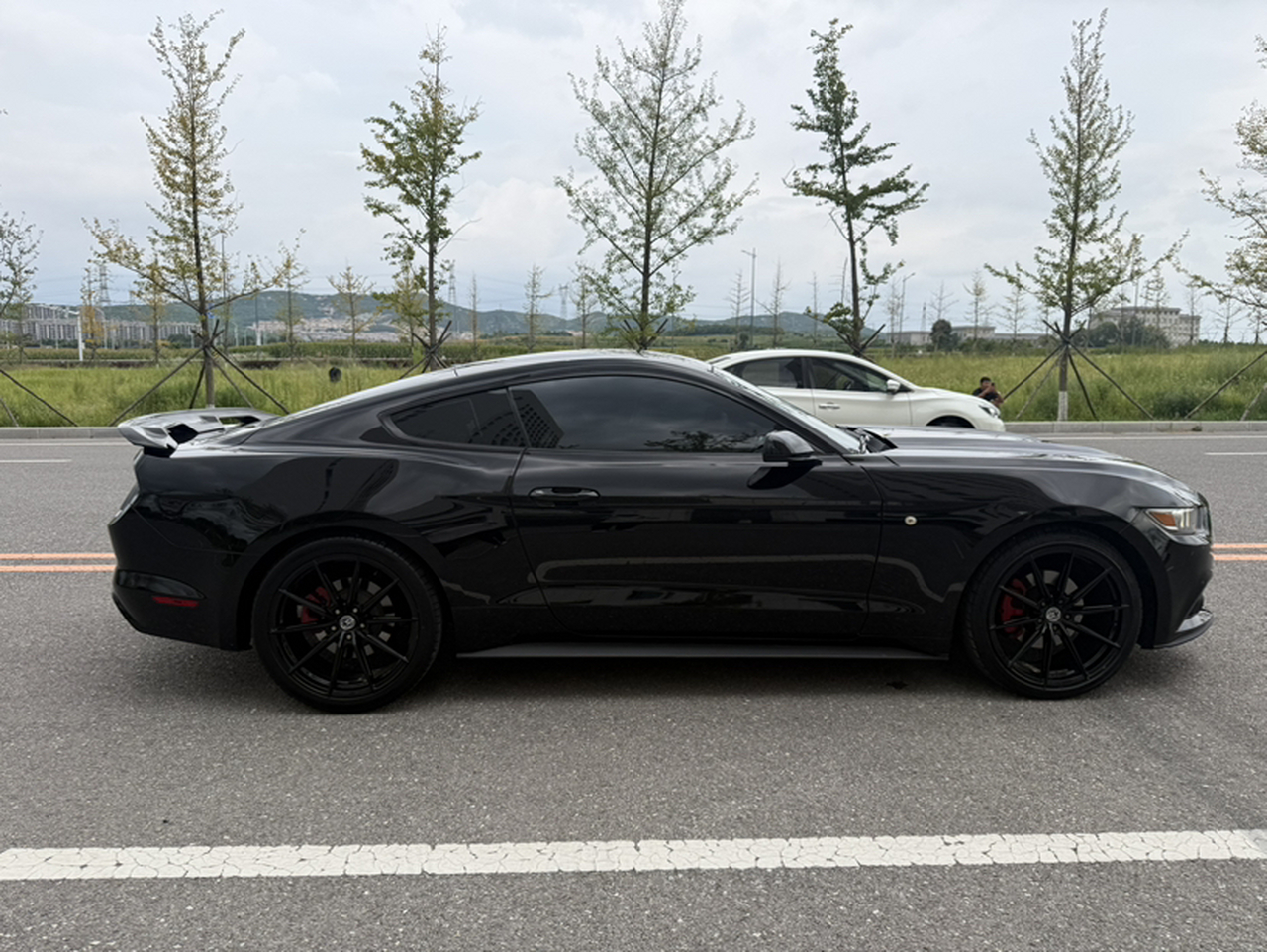Mustang Parallel Import photo 4