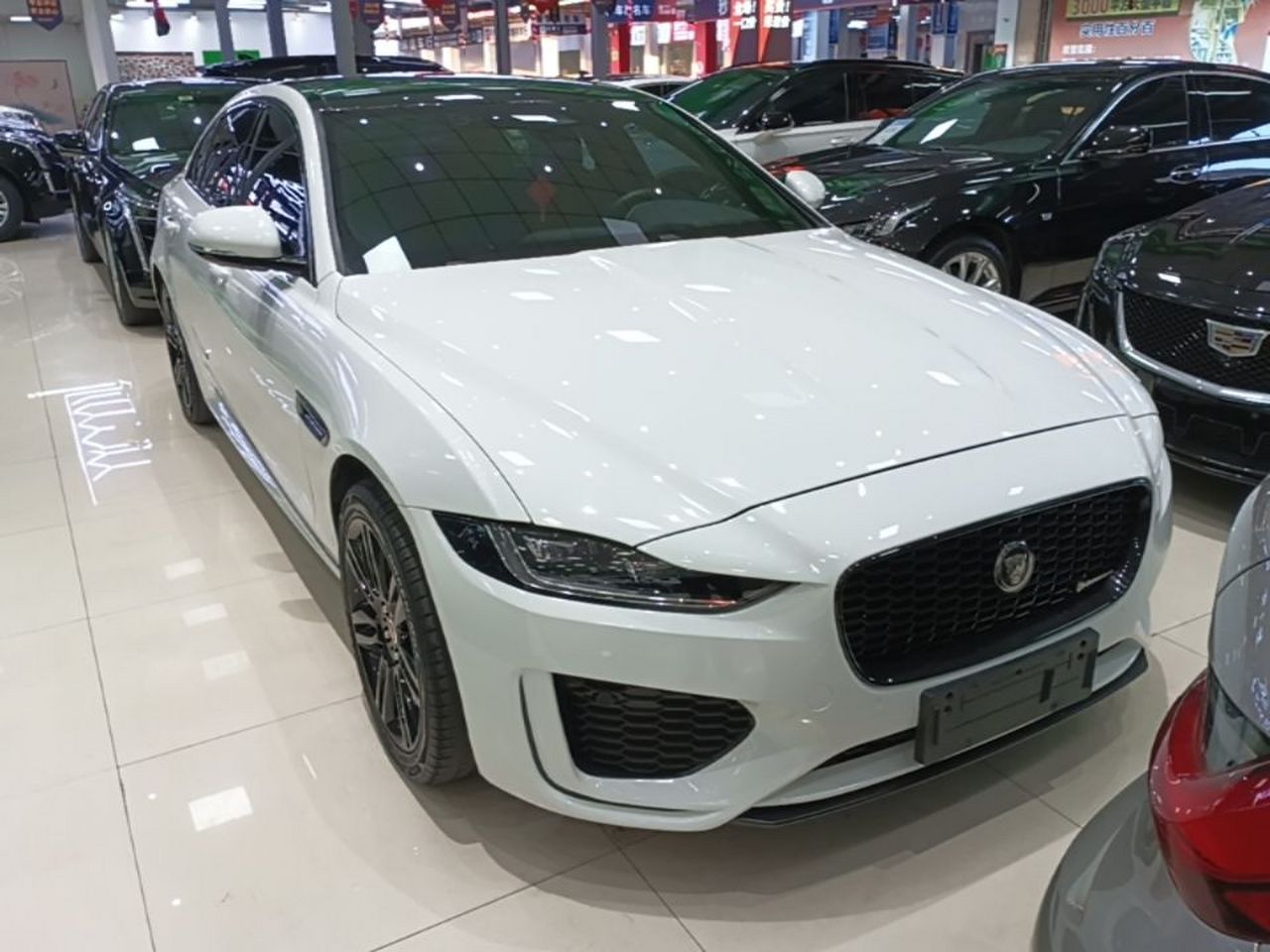 XEL 2021 2.0T 250PS Sport photo 2