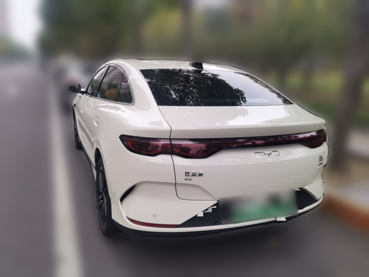 Qin L 2025 EV 545KM Excellence photo 4