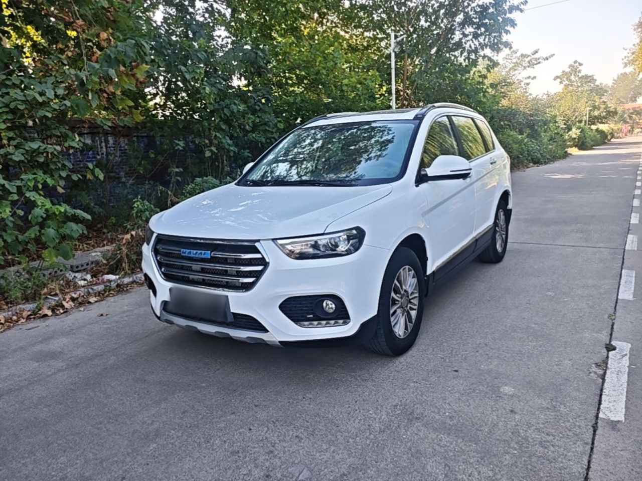 H6 2017 Blue Label Sport 1.5T AT RWD Luxury