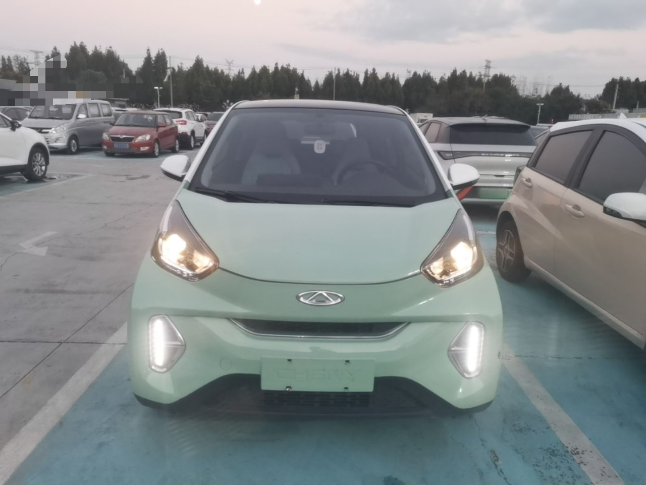 QQ Little Ant 2022 LFP 30kW 301km photo 2