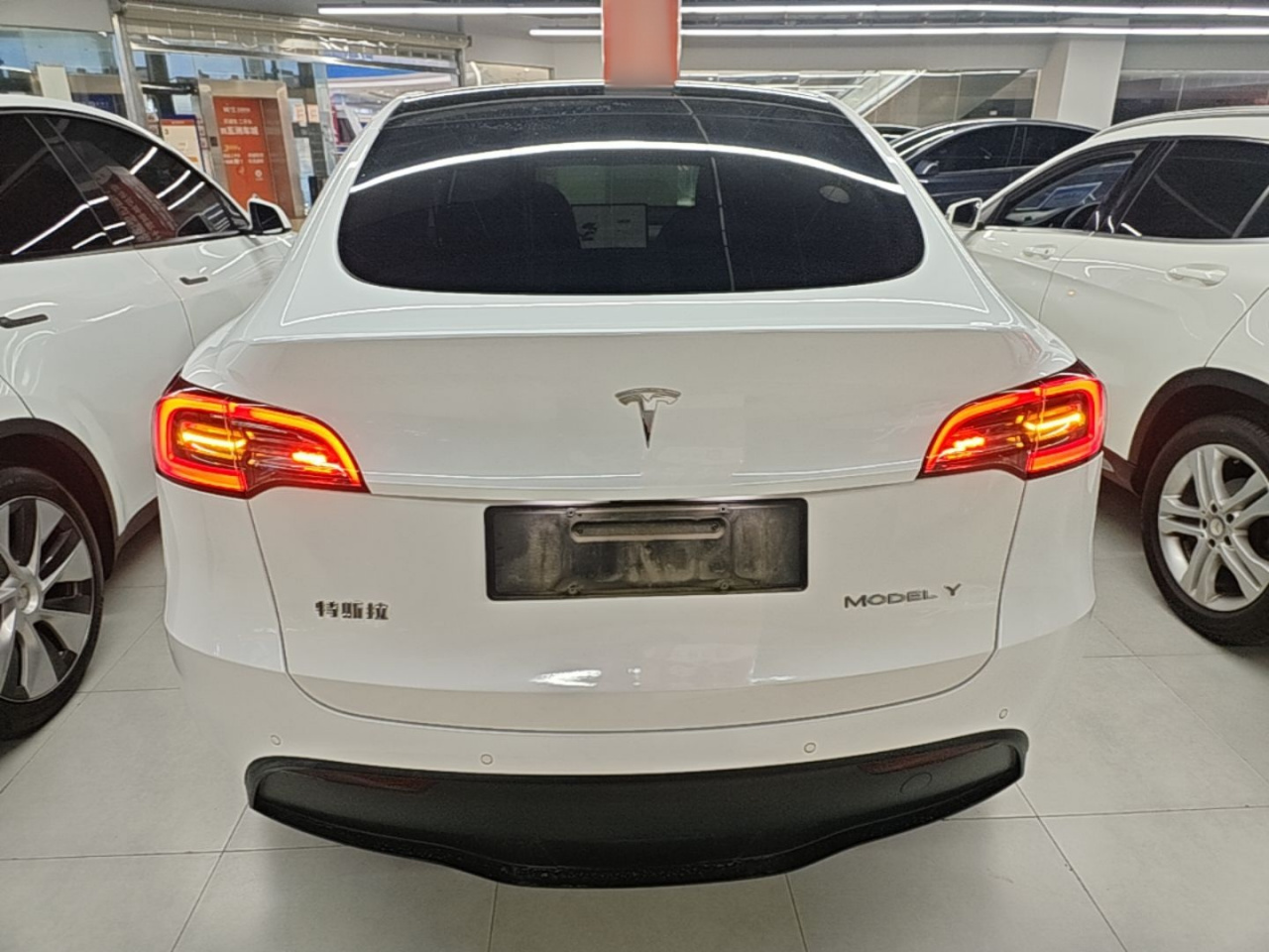 Model Y 2023 RWD photo 5