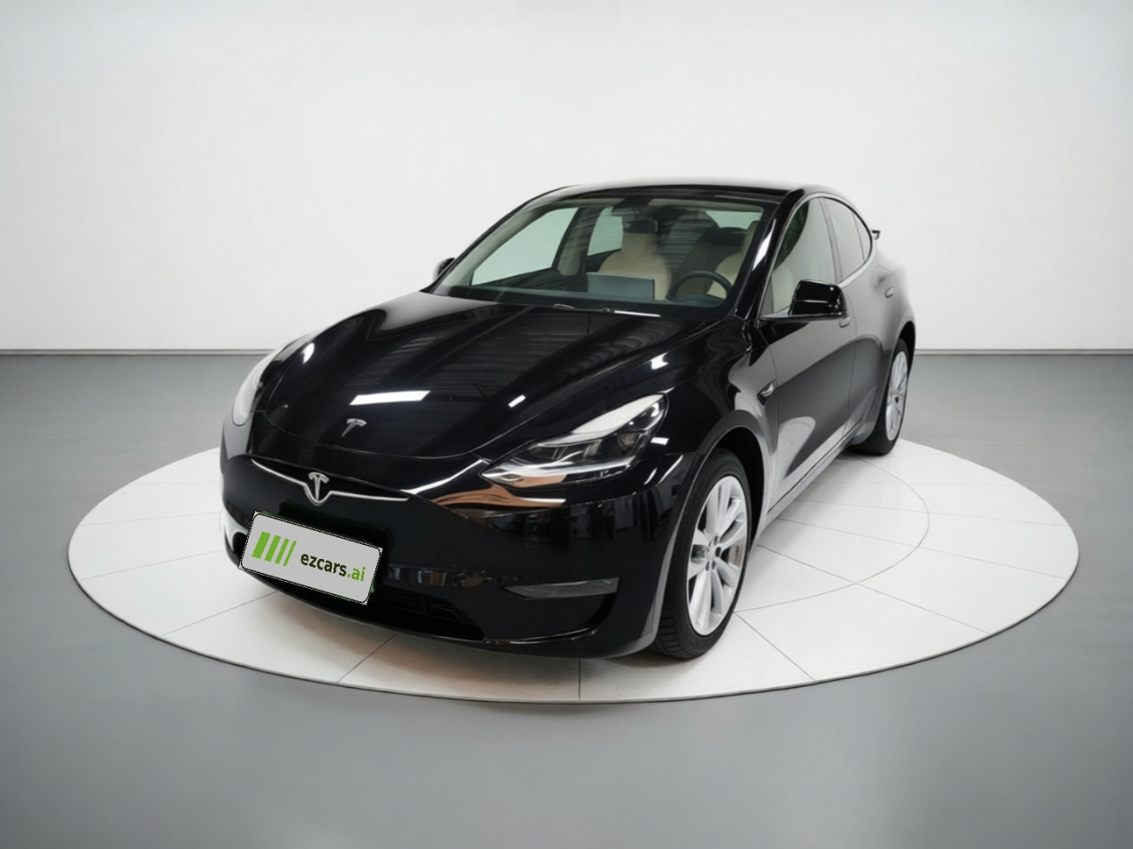 Model Y 2021 Standard Range RWD