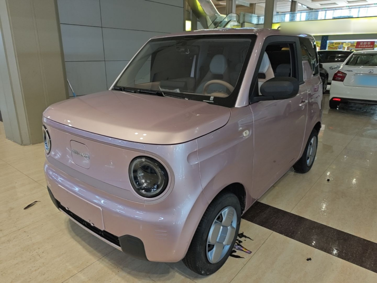 2023 Panda mini 200km Endurance Bear