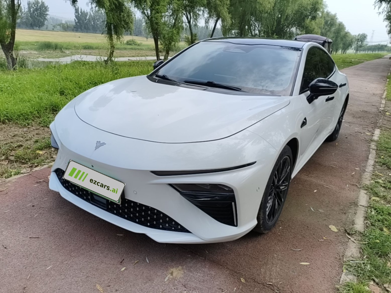 Neta S 2022 EREV 1160km RWD