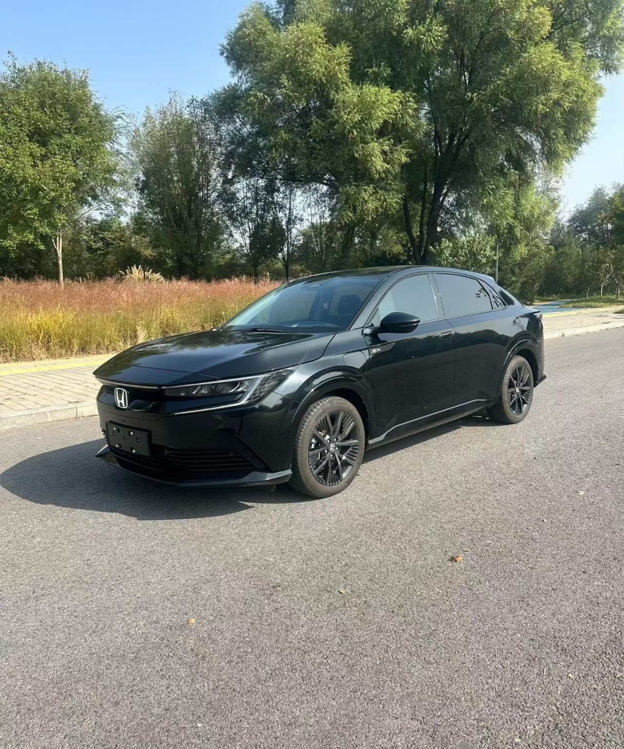 e:NP2 2 2024 Advanced