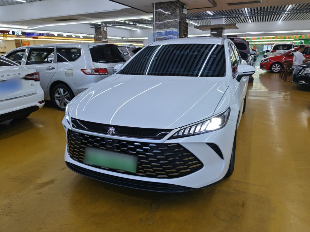 Qin PLUS 2025 DM-i ADAS 55KM Leading