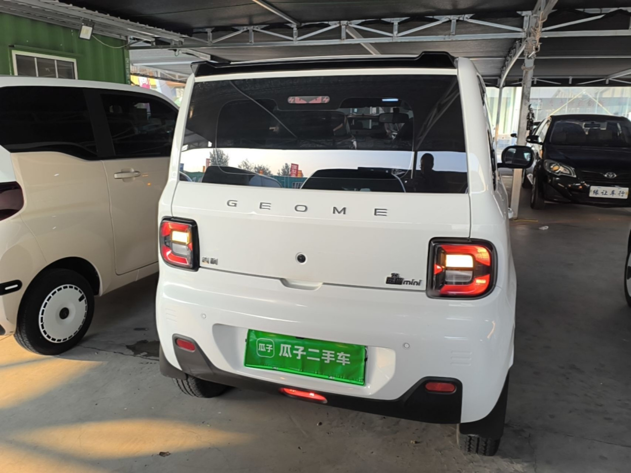 2024 Panda mini 200km Endurance Bear photo 3