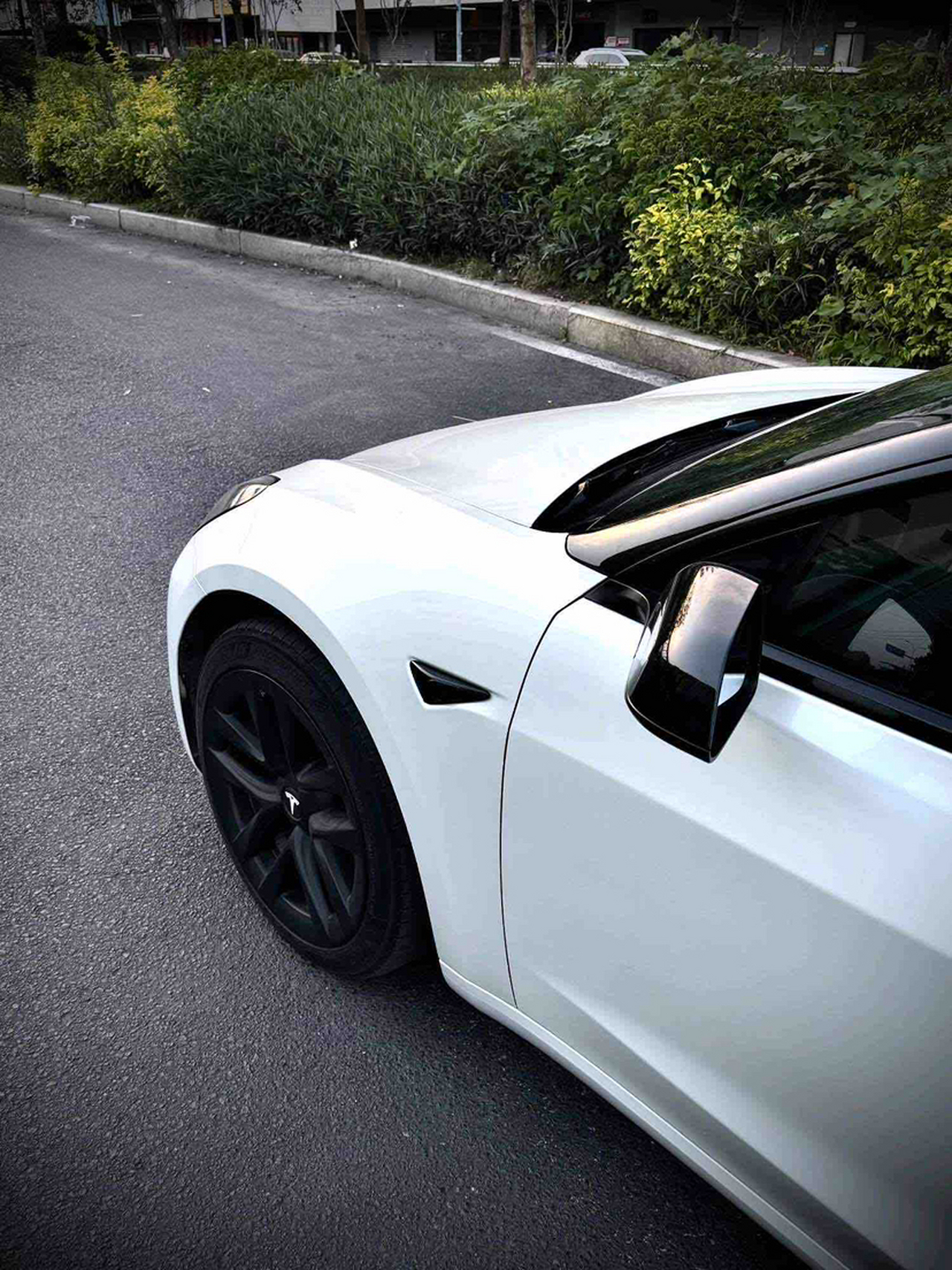 Model 3 2022 RWD photo 3