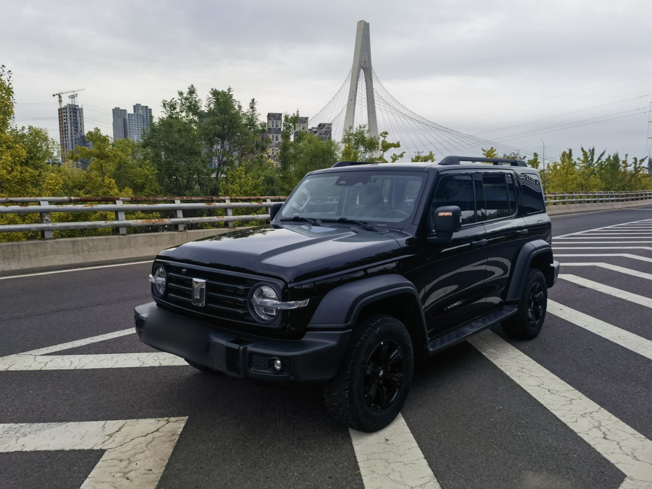 300 2023 Off-road 2.0T