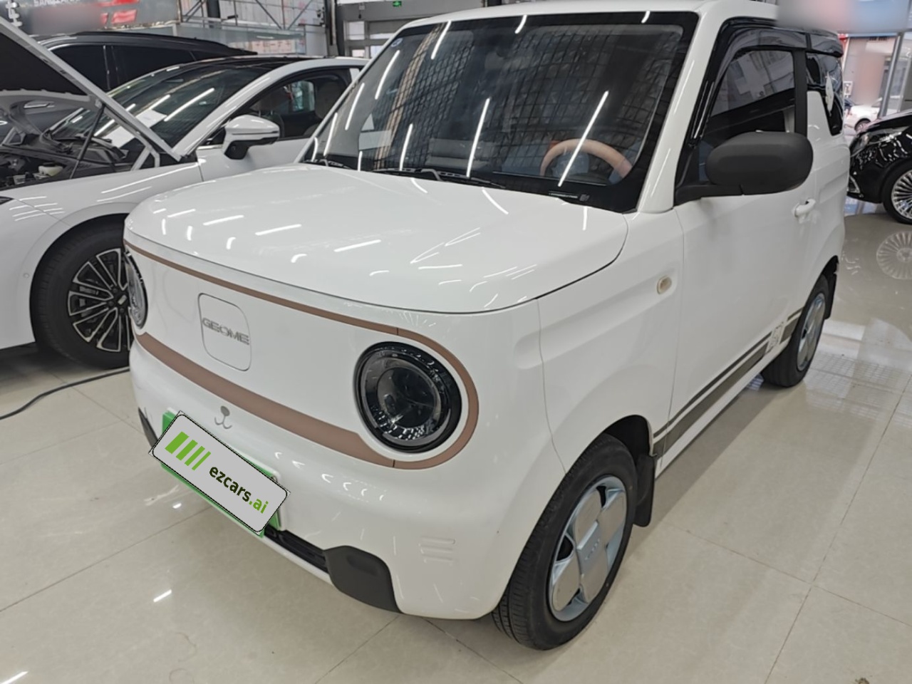 2024 Panda mini 200km Endurance Bear