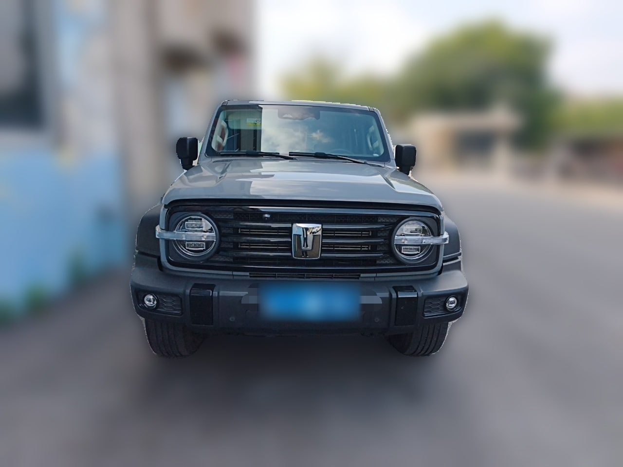 300 2023 Off-road 2.0T Conqueror photo 2