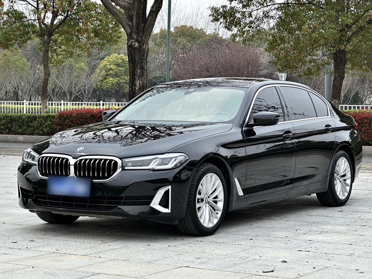 5 Series 2021 525Li Luxury