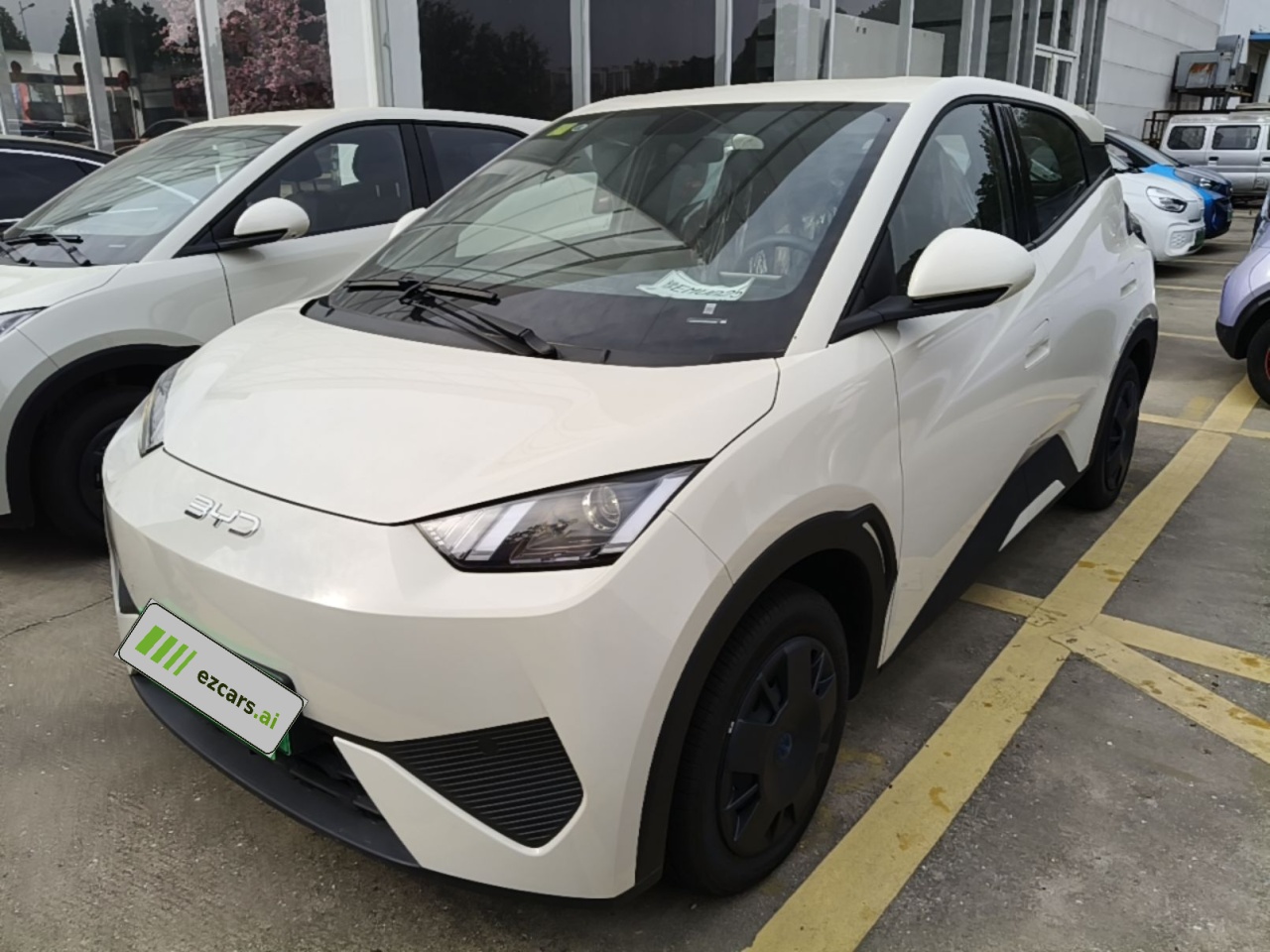 Seagull 2025 ADAS 305km