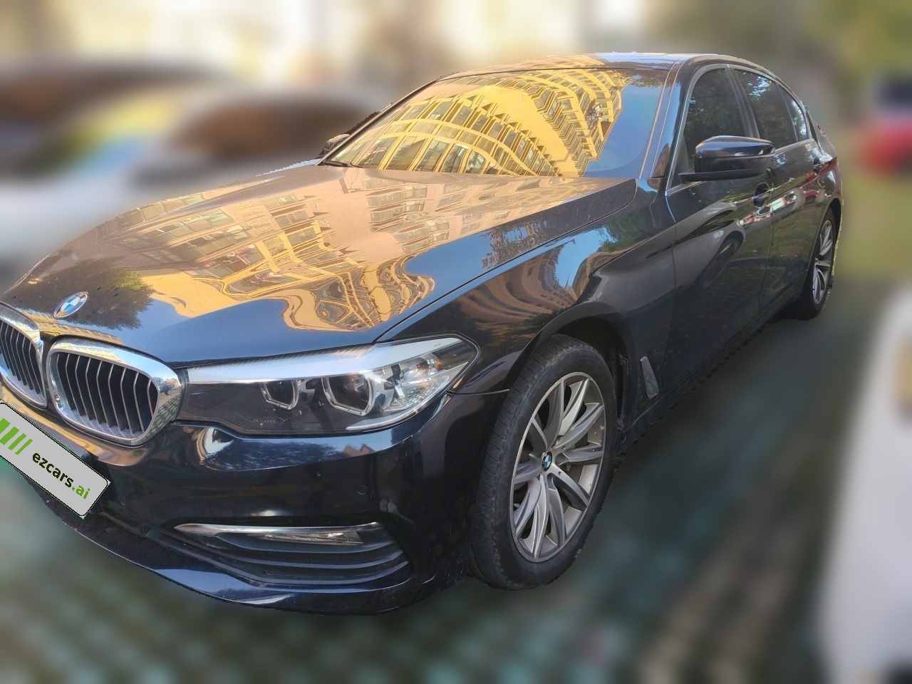 5 Series 2018 528Li Special