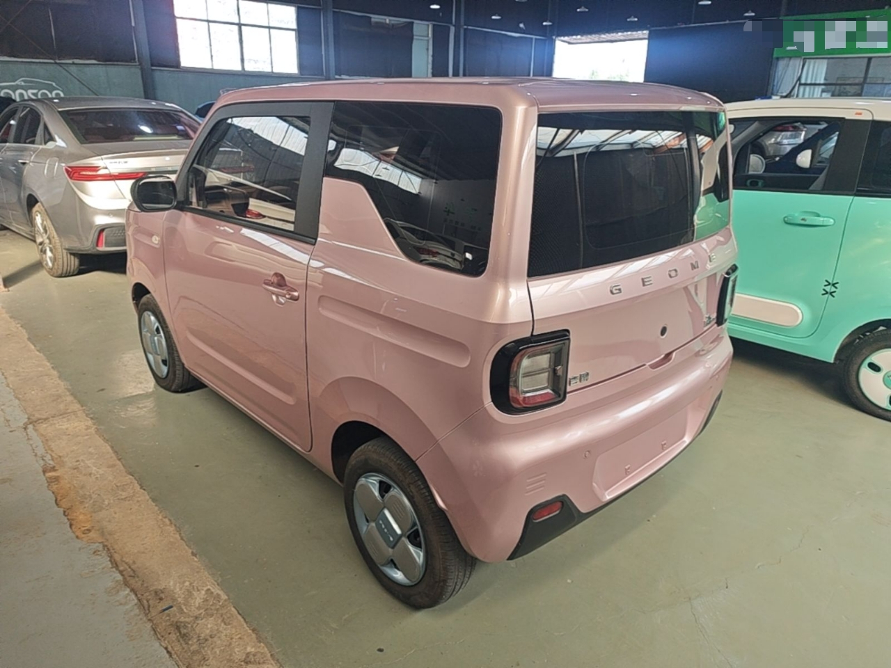 2024 Panda mini 200km Endurance Bear photo 4