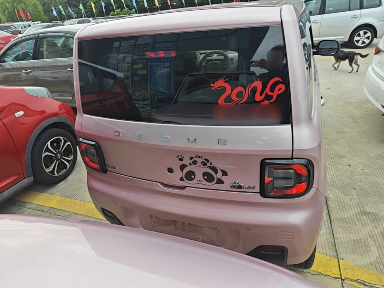 2023 Panda mini 200km Endurance Bear photo 5
