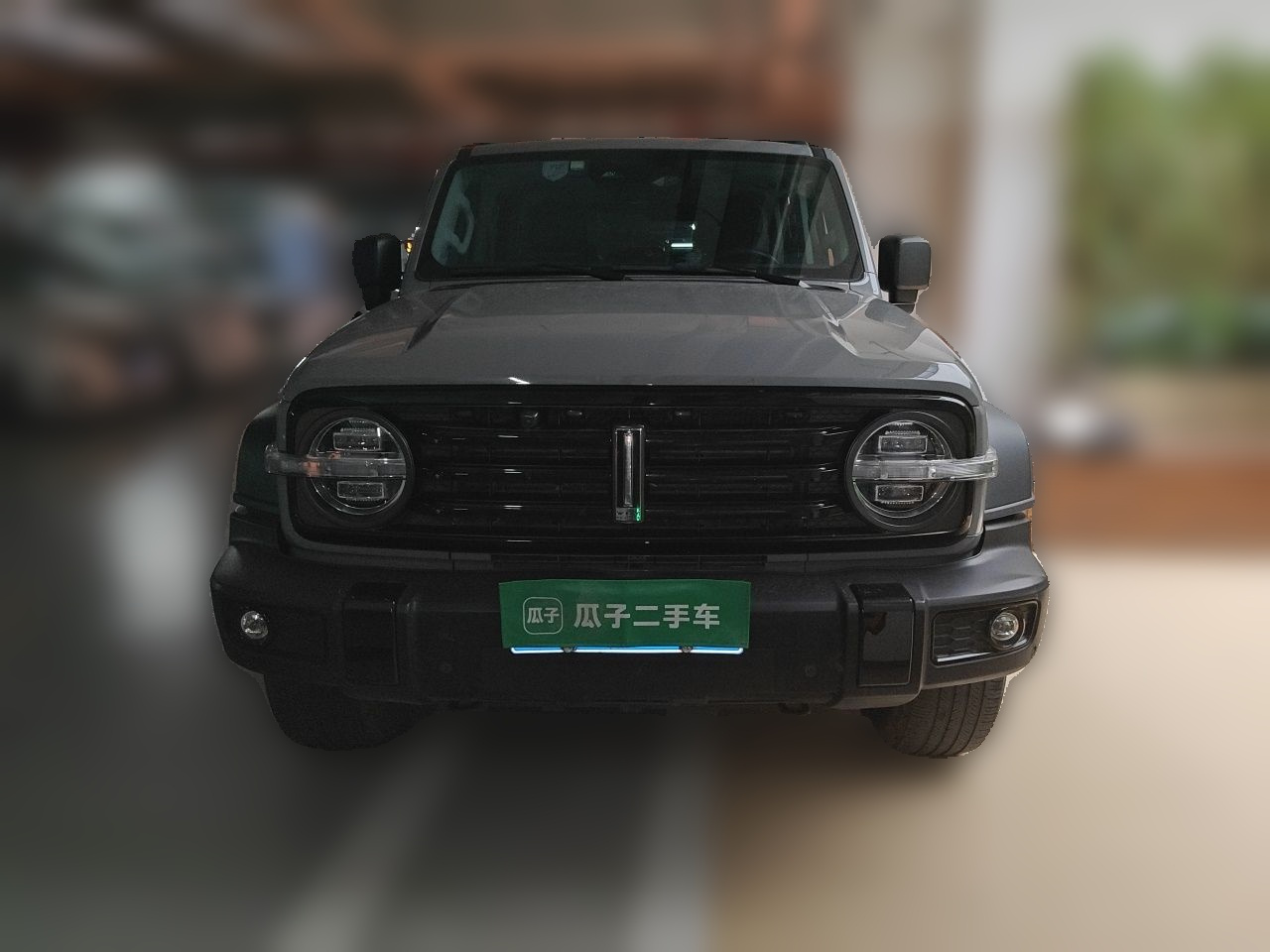 300 2021 Off-road 2.0T Conqueror photo 2