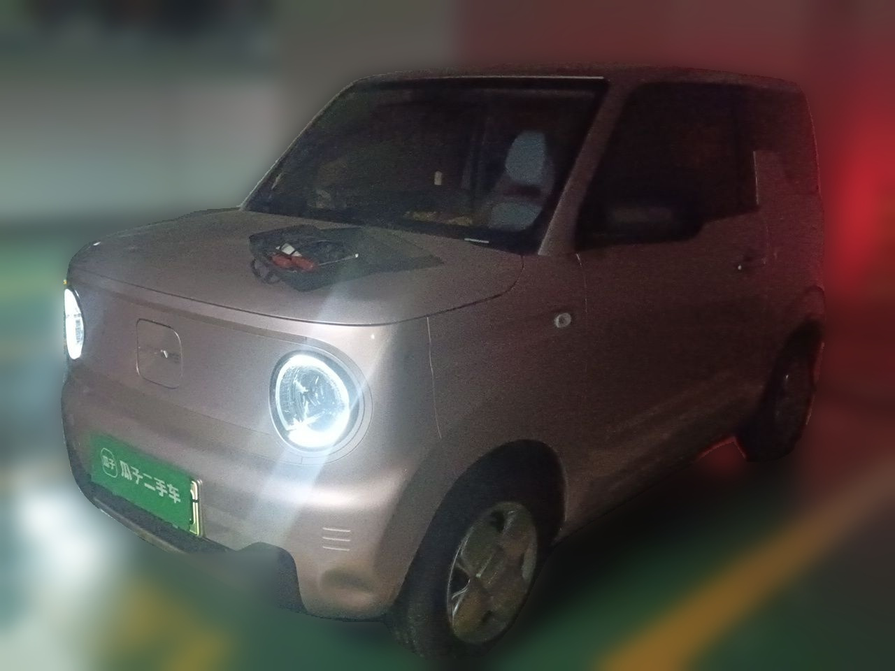 2023 Panda mini 200km Endurance Bear