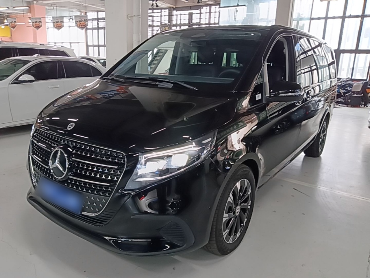V-Class 2024 V 300 Pilot
