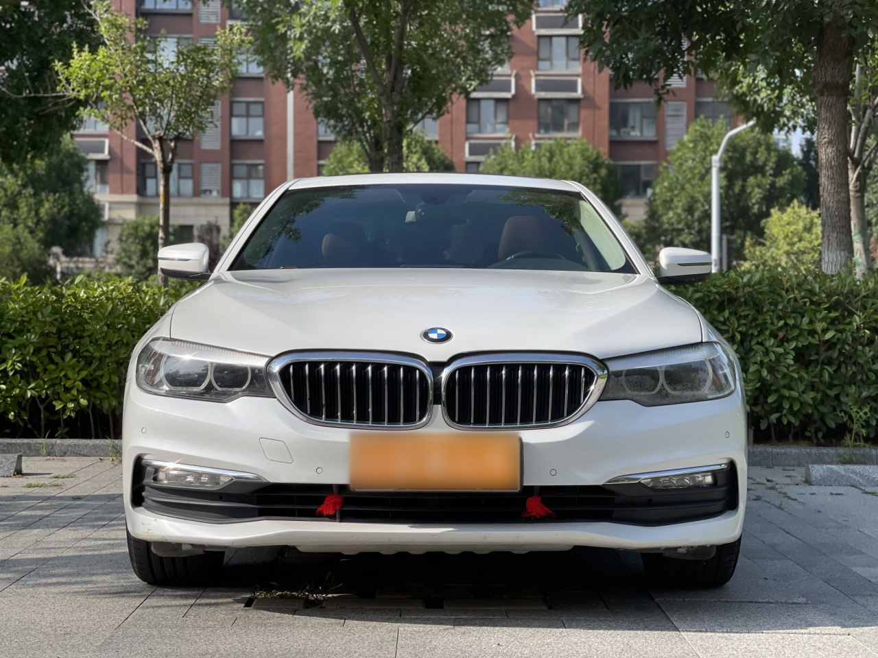 5 Series 2018 528Li Special photo 2