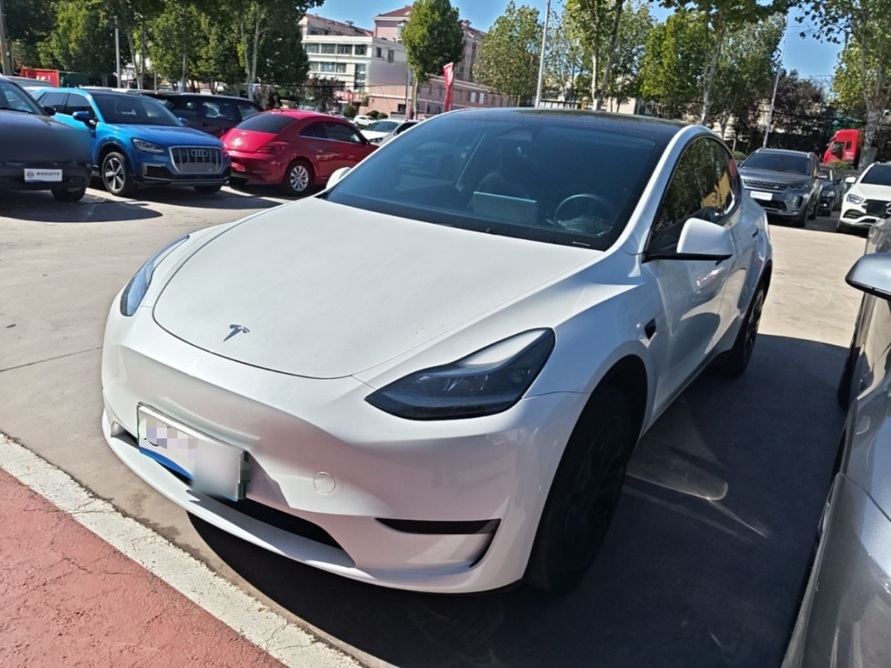 Model Y 2024 RWD