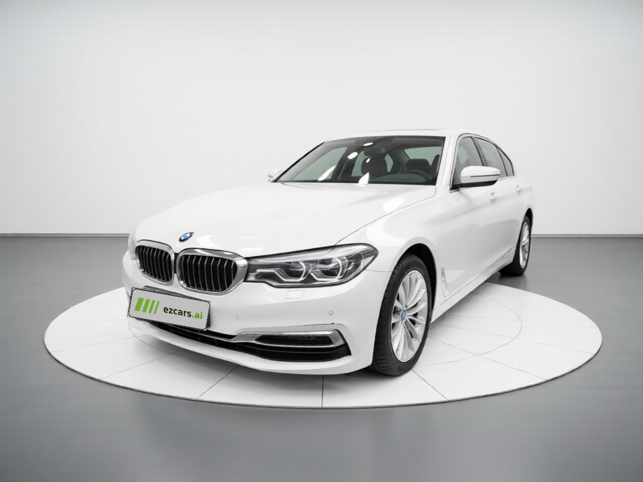 5 Series EV 2019 530Le