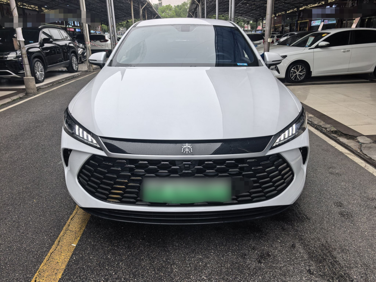 Qin PLUS 2026 DM-i 128KM Progressive photo 5