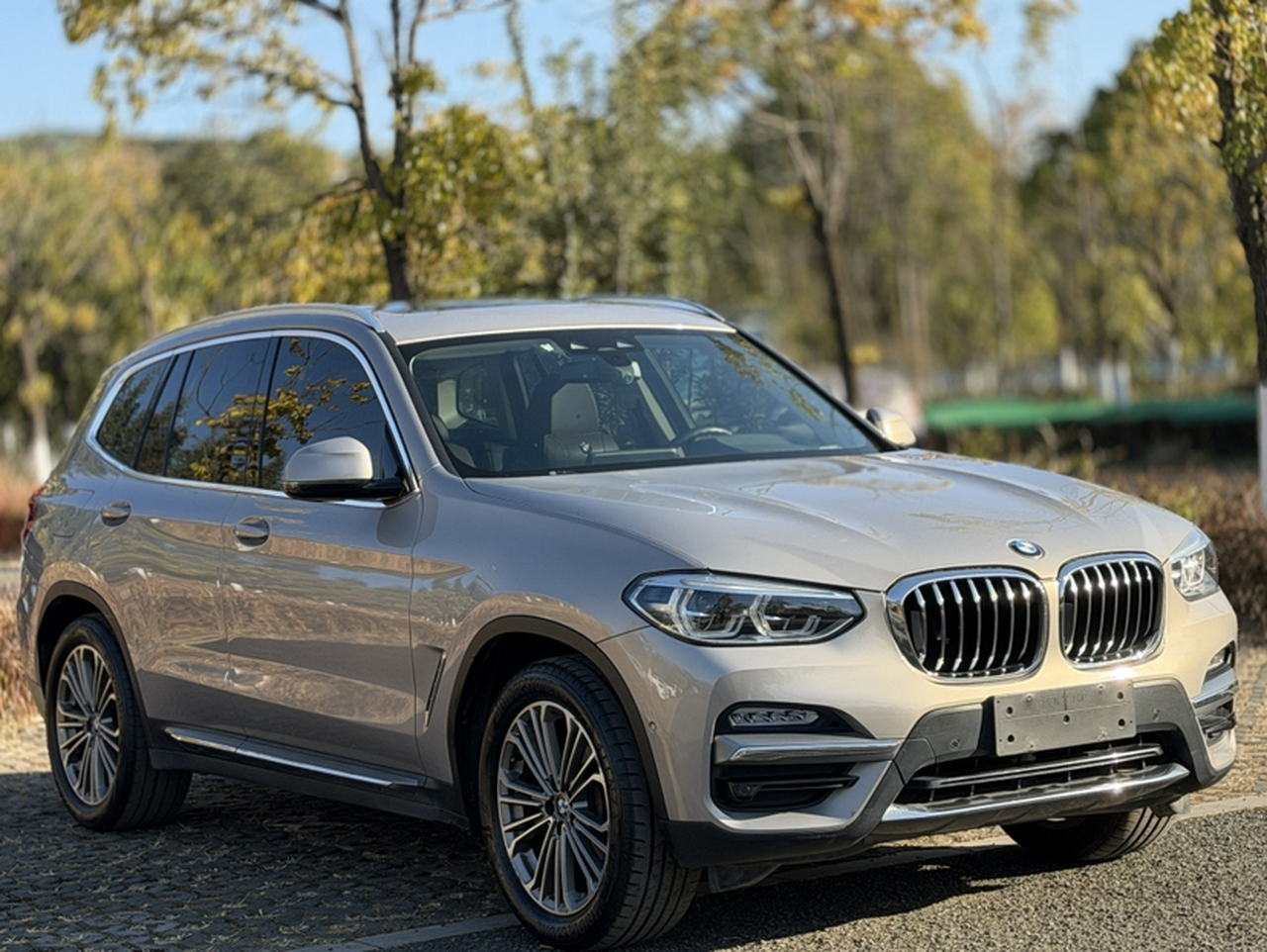 X3 2018 xDrive28i Luxury China VI photo 4