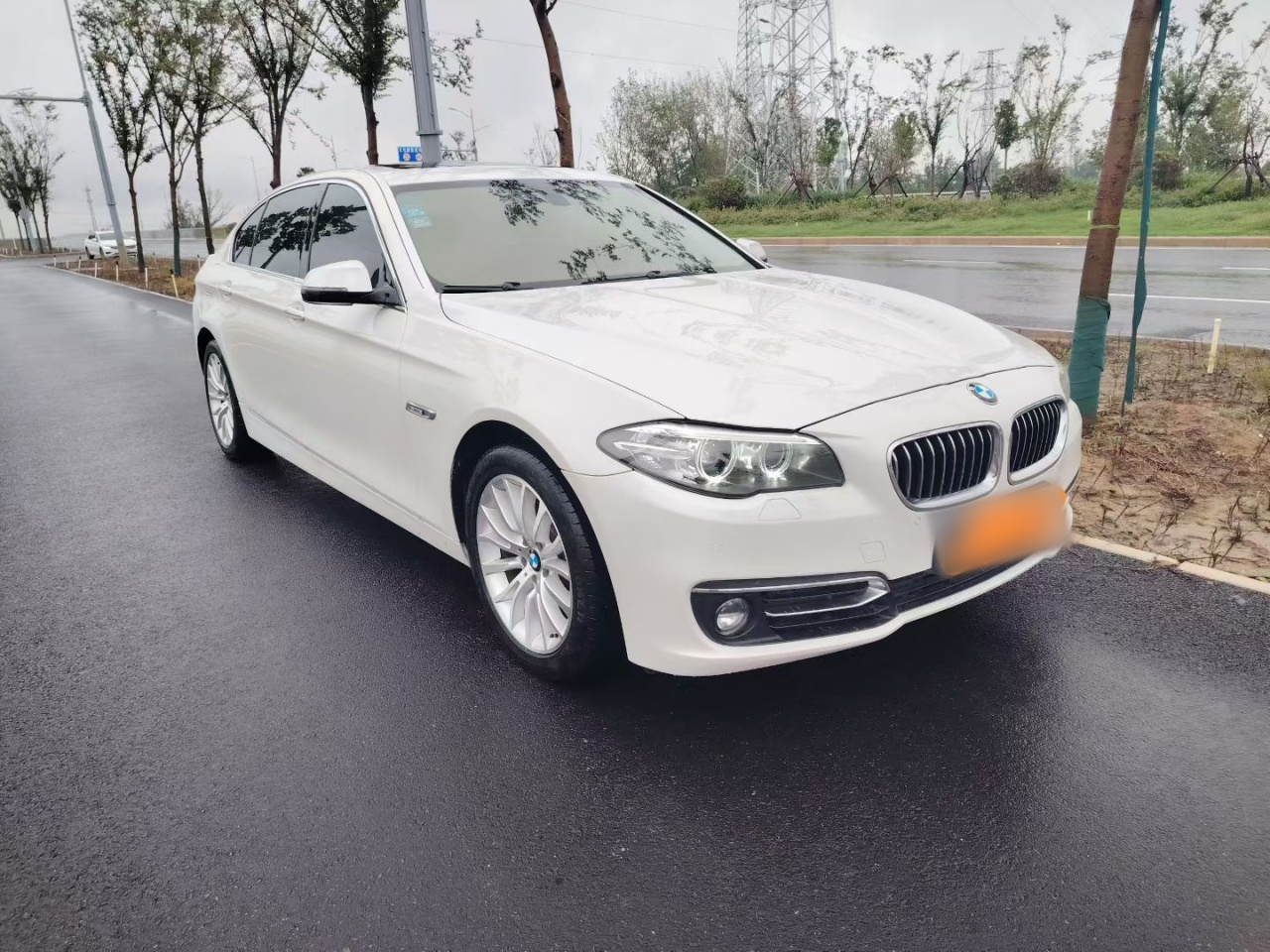 5 Series 2014 525Li Luxury Design Package photo 3