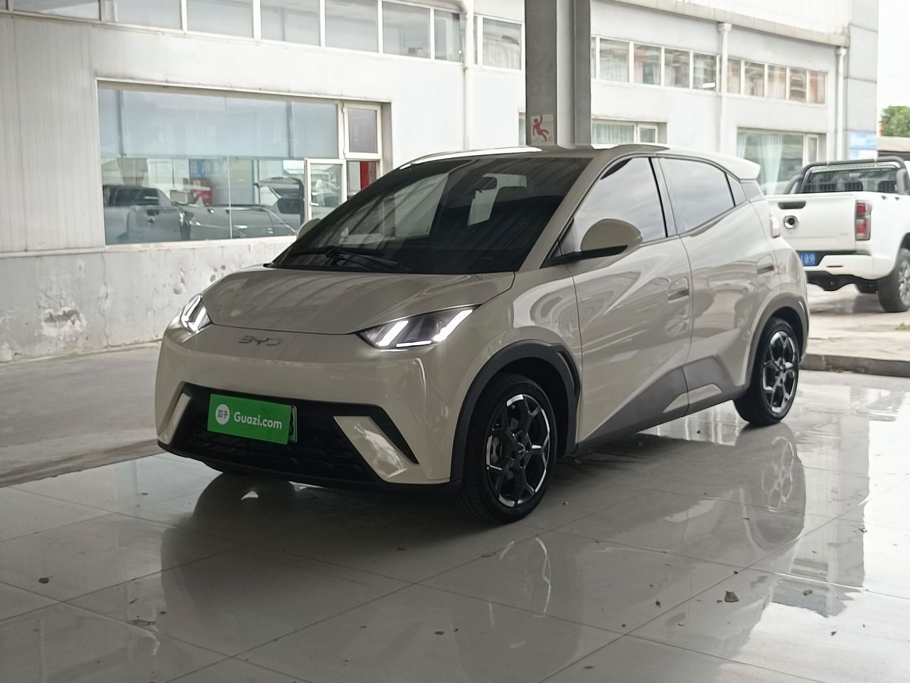 Seagull 2025 405km