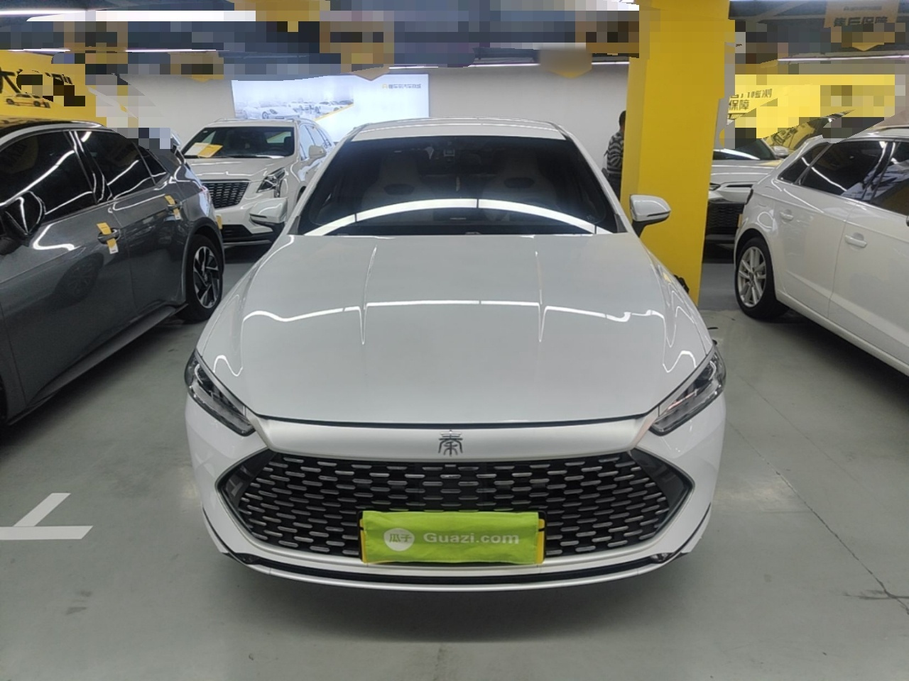Qin PLUS 2024 Honor DM-i 55KM Leading photo 2