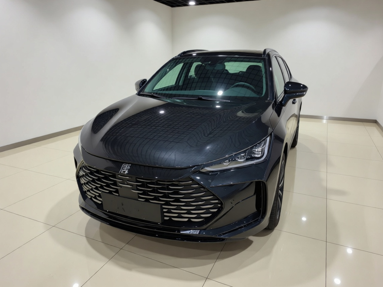 Tang EV 2024 DM-p