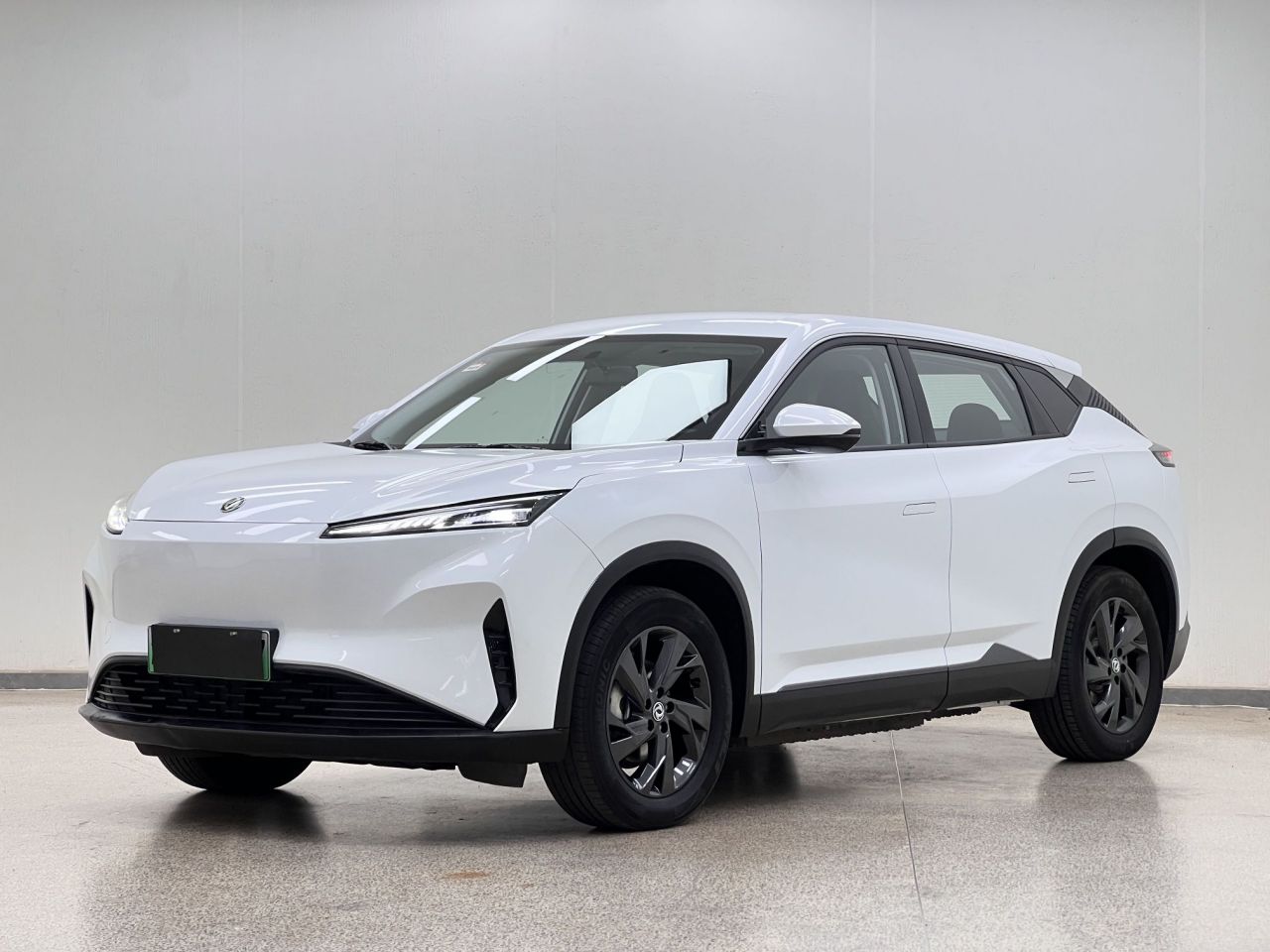 SKY EV01 2025 530km PRO Elite Executive
