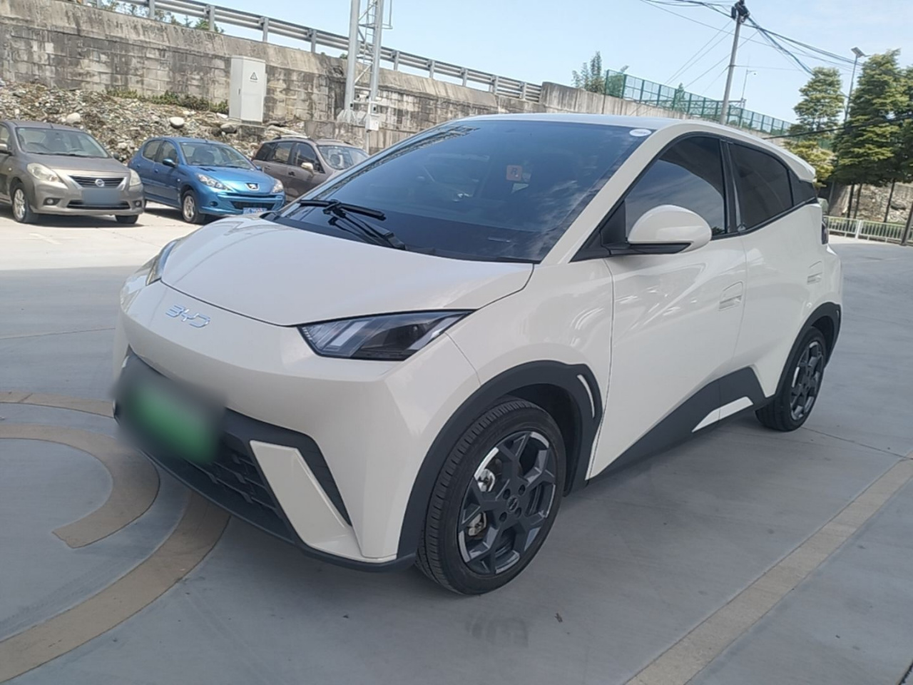 Seagull 2025 305km