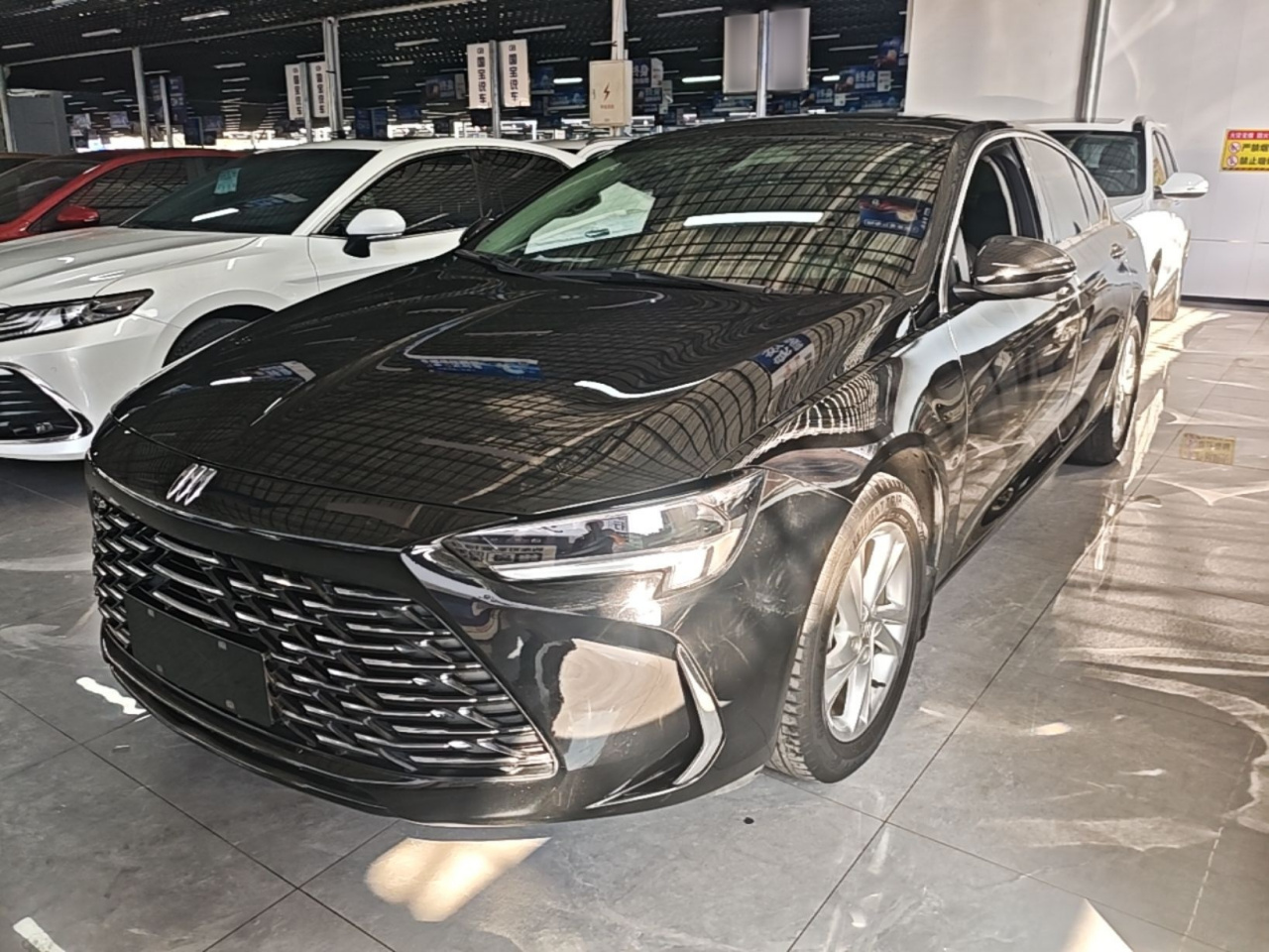 Regal 2024 25T
