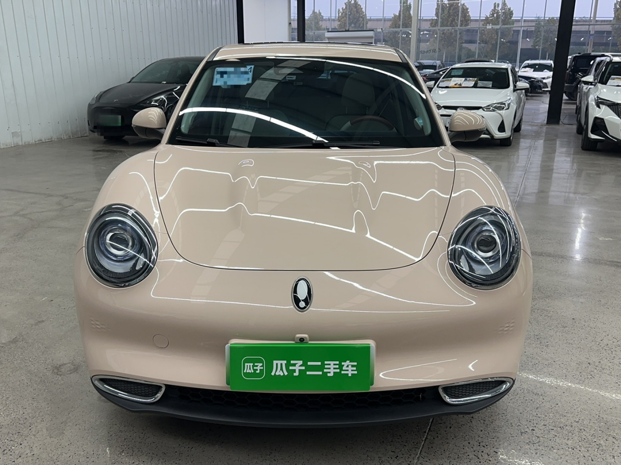 Good Cat 2023 401km Standard Range Premium NCM photo 2