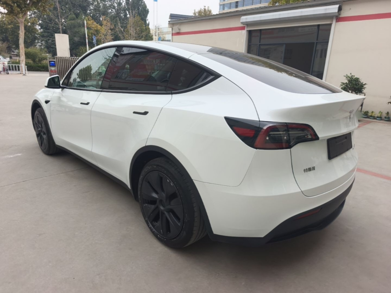 Model Y 2024 RWD photo 4