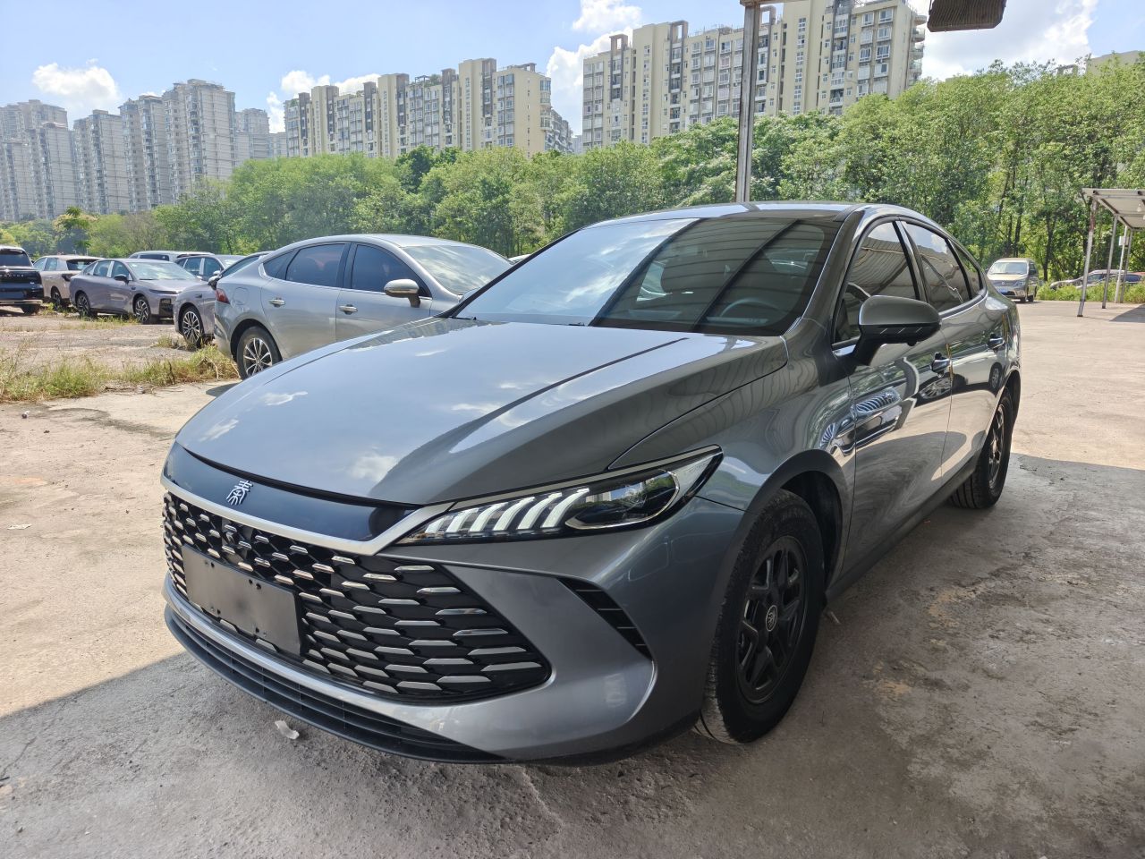 Qin PLUS 2025 DM-i ADAS 55KM Leading