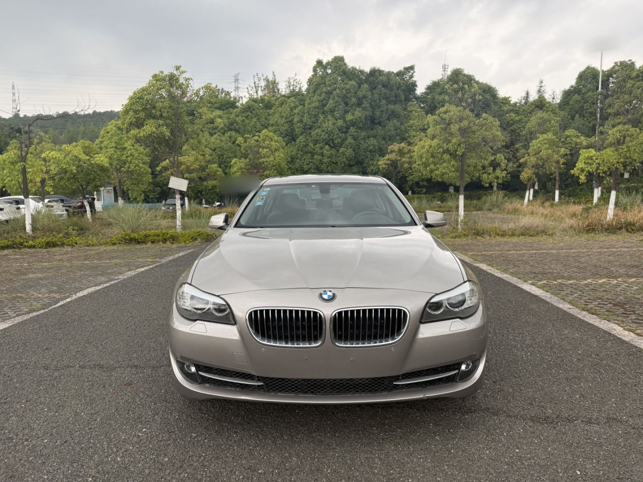5 Series 2013 525Li Leading photo 2