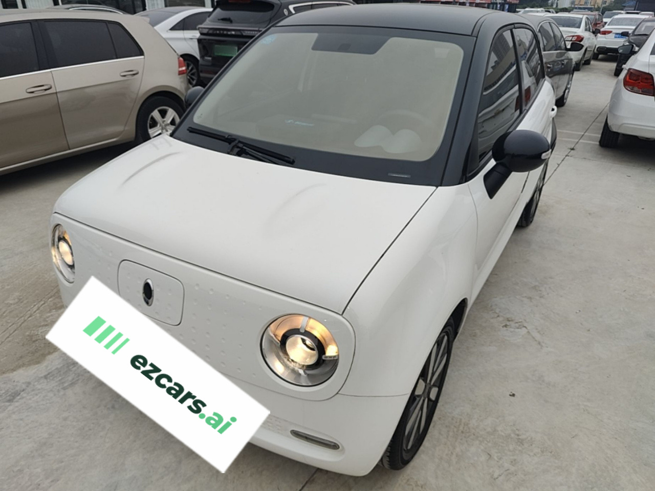 2019 351km