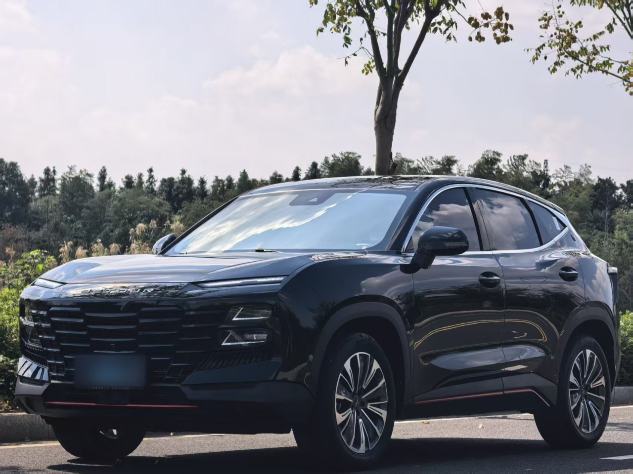 Dasheng 2023 1.6T DCTPLUS