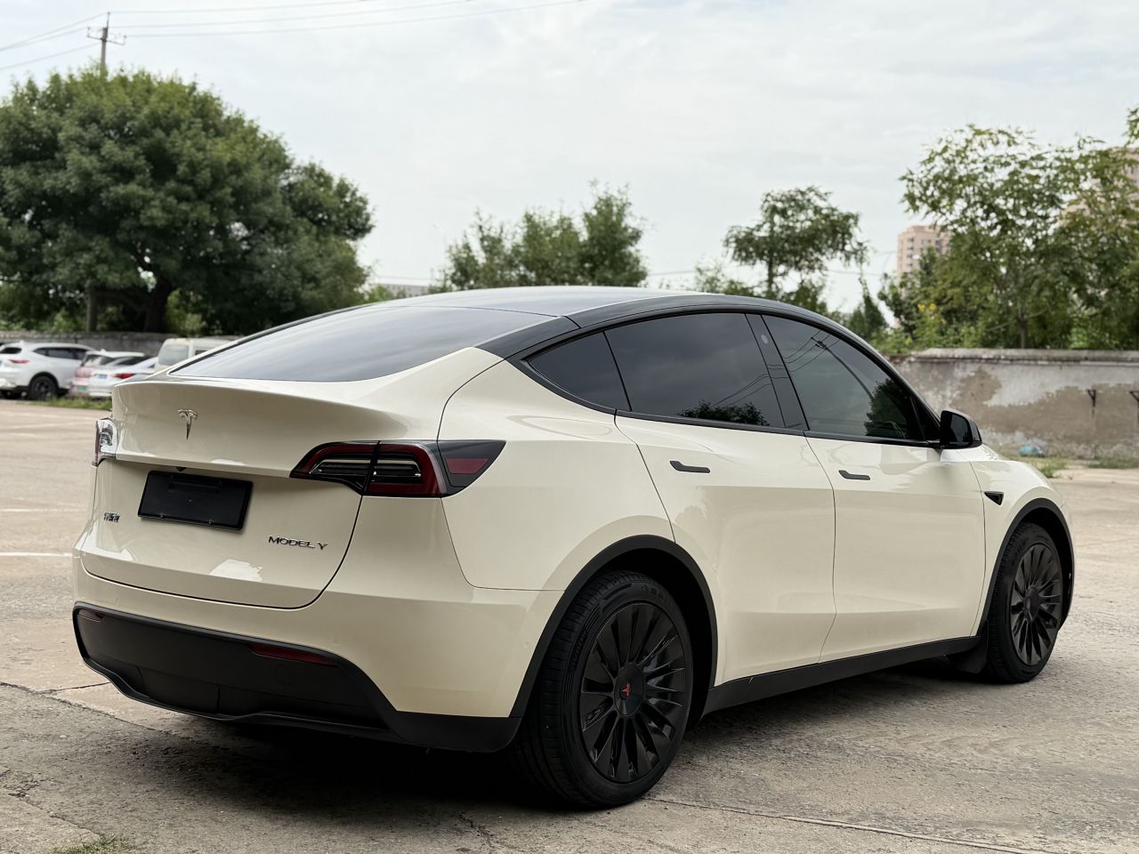 Model Y 2021 Standard Range RWD photo 4