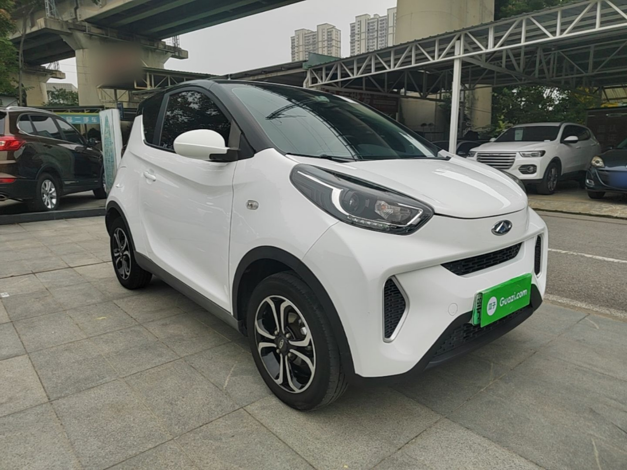 QQ Little Ant 2021 15 LFP photo 5